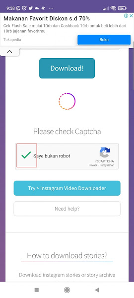 Check Captcha storysaver